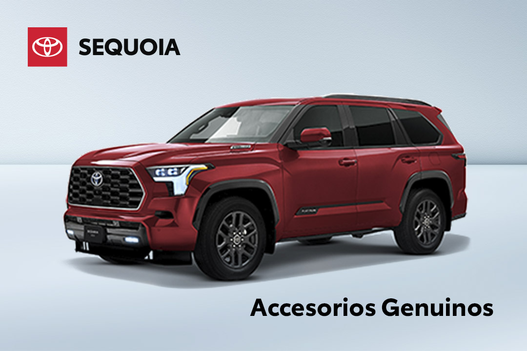 Catálogo de refacciones Toyota