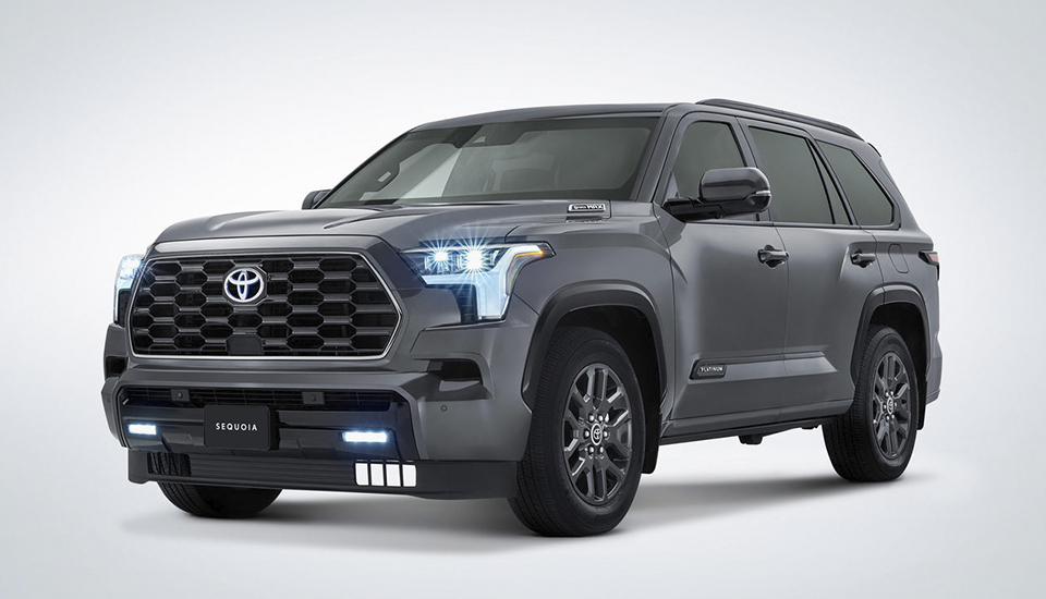 Sequoia HEV 2024